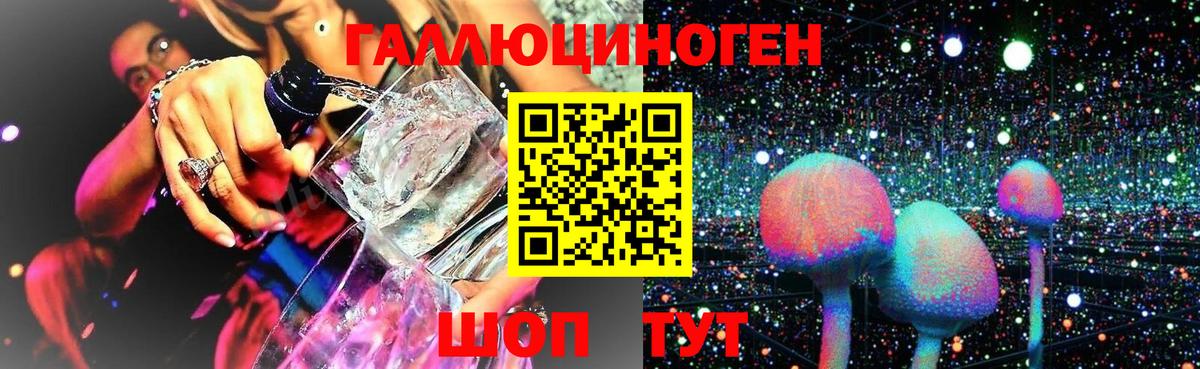 Галлюциногенные грибы Psilocybine cubensis  Вход с VPN  Кимовск 